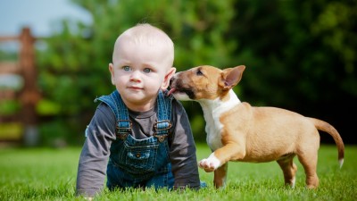 Kids (General), Pets And Health, Parenting