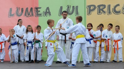 Child Safety, Martial Arts, Sports Medicine