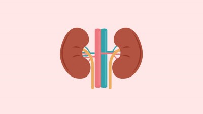 Kidney Problems (General)