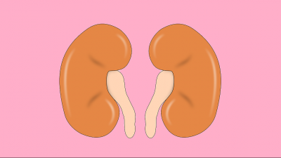 Kidney Problems (General)