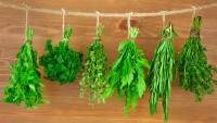 Getting the Most From Fresh Garden Herbs