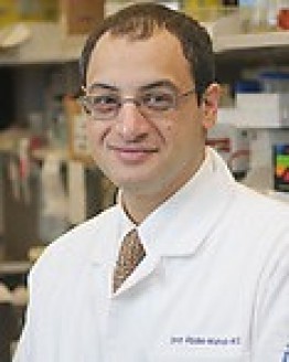 Photo of Dr. Omar I. Abdel Wahab, MD